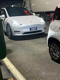 Tesla Model Y RWD