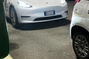 Tesla Model Y RWD