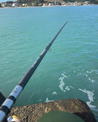 Canna da pesca shimano