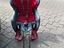 Immagine 2