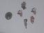 Immagine 1
