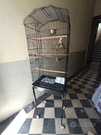 gabbia per uccelli 