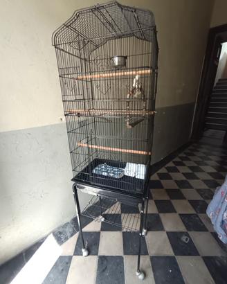 gabbia per uccelli 