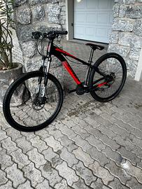 Mountain bike SIERRA 29