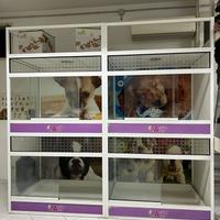Gabbie da esposizione per cani