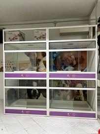 Gabbie da esposizione per cani