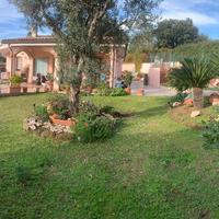 Villa signorile colli di Enea Pomezia