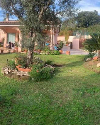 Villa signorile colli di Enea Pomezia