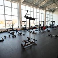 Lat machine pulley semi pro carico libero 25-50mm 