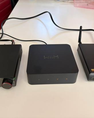Amplificatore dac e streamer Topping Wiim