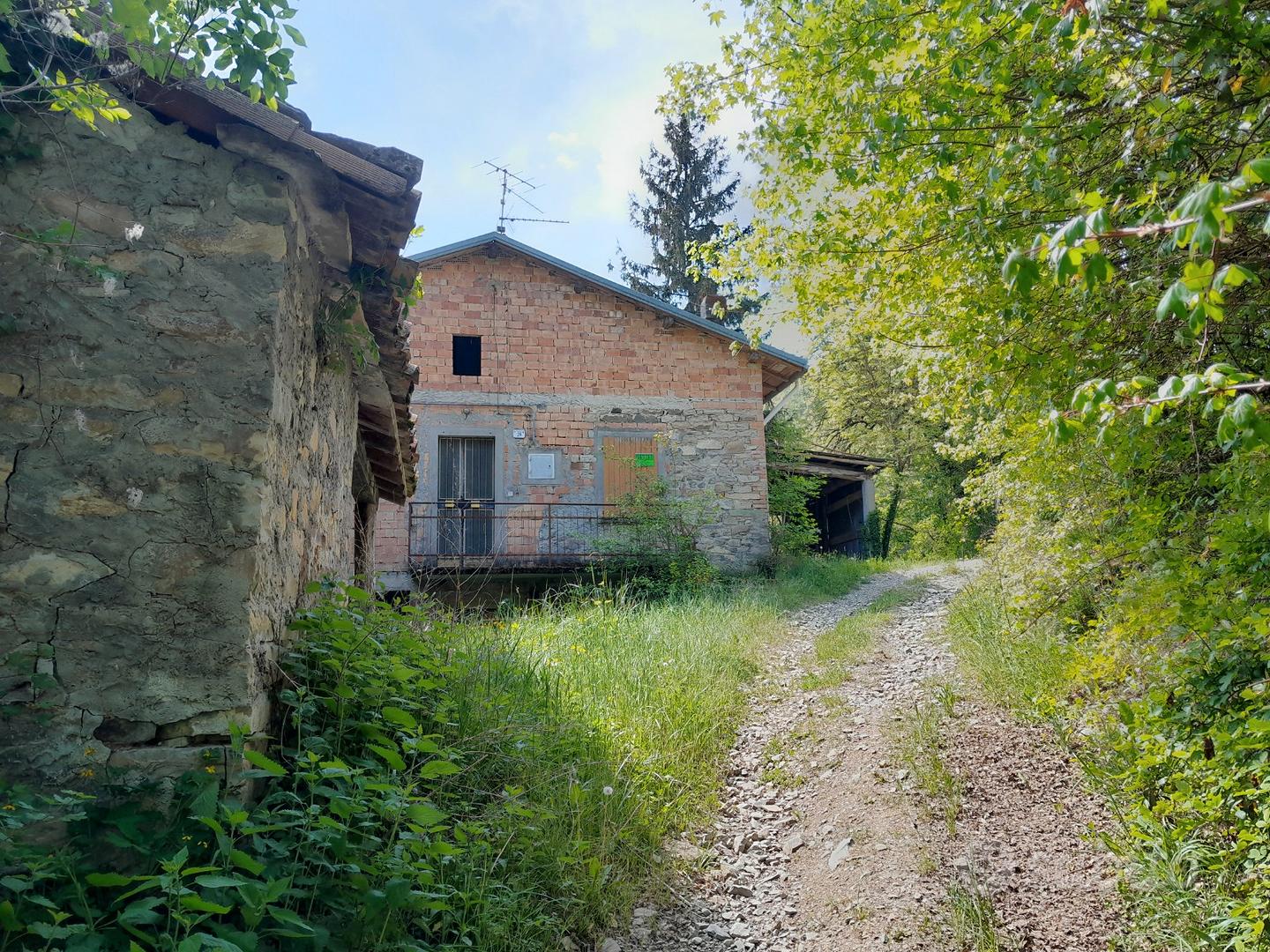 Rustico più terreno e bosco - Vista 2