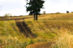 Area verde a Verucchio
