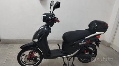 motore  elettrico  vitale sport