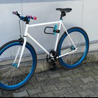 Bici Fixed