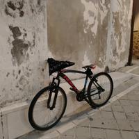 bicicletta