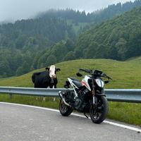 Ktm duke 390 2022