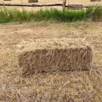 Ballette da Erbaio Misto Biologico Certificato