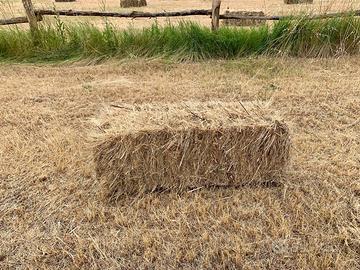 Ballette da Erbaio Misto Biologico Certificato