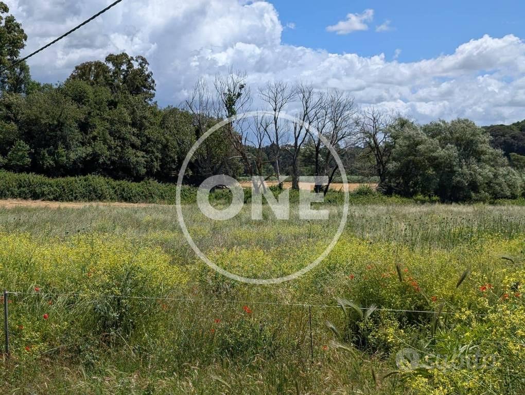 Terreno di 60000 m² a Ardea - Vista 5