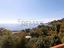 Immagine 22