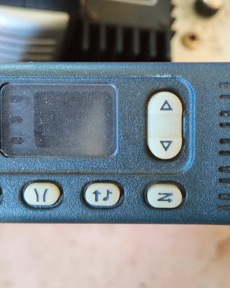 Motorola AM900