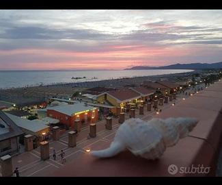 Bilocale fronte mare a marina di grosseto