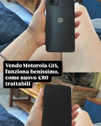 motorola moto g14