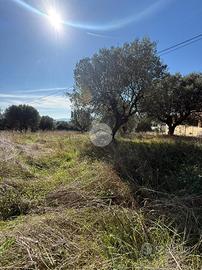 TER. RESIDENZIALE A GIULIANOVA