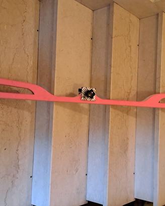 Supporto per sciolinare sci