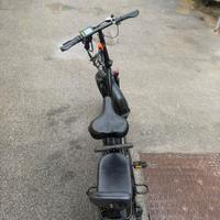 Bici elettrica