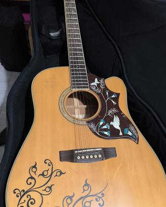 chitarra professionale 