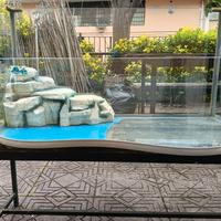 aqcuario per tartarughe 