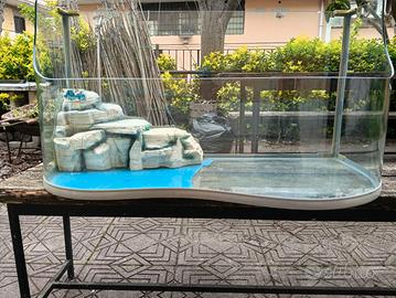 aqcuario per tartarughe 