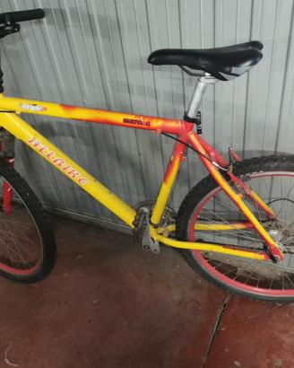 Mountain bike in alluminio