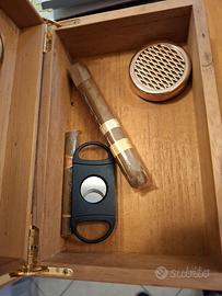 Humidor per sigari in radica