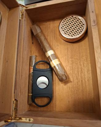 Humidor per sigari in radica
