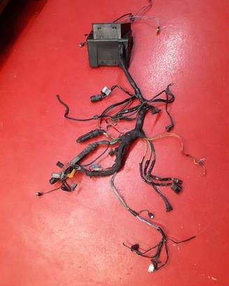 IMPIANTO ELETTRICO BMW R1150GS 2001