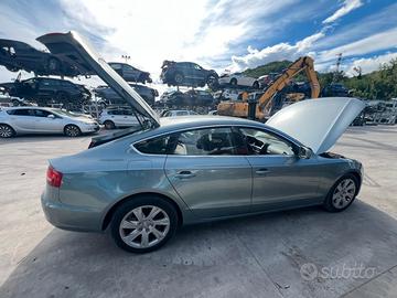 Pezzi di ricambio per Audi A5 B8 serie 8T del 2010