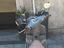 Immagine 4