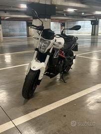 Benelli Bn302 2016