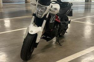 Benelli Bn302 2016