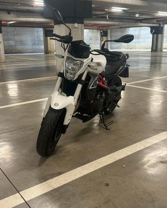 Benelli Bn302 2016