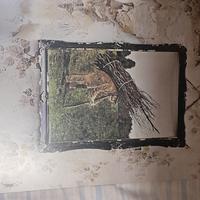 vinile strasparente Led Zeppelin IV o Zoso