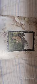 vinile strasparente Led Zeppelin IV o Zoso