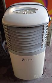 Condizionatore portatile  ESPRIT ECT 8 eco 820w