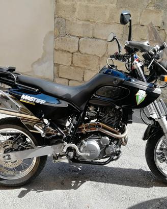 MUZ motard MASTIFF 660
