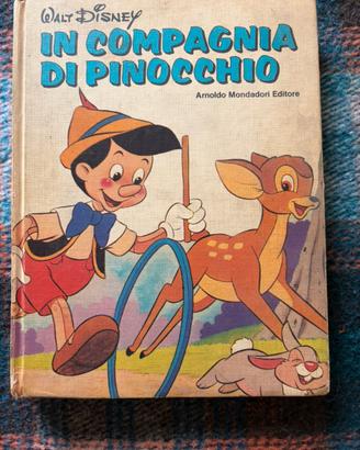 In compagnia di Pinocchio