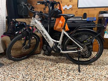 E-Bike Alpek Trecy