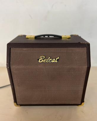 Amplificatore per strumenti acustici Belcat