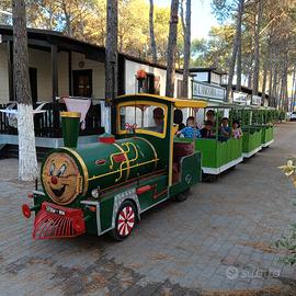 Trenino Lillipuziano - treno per feste- giostra- m